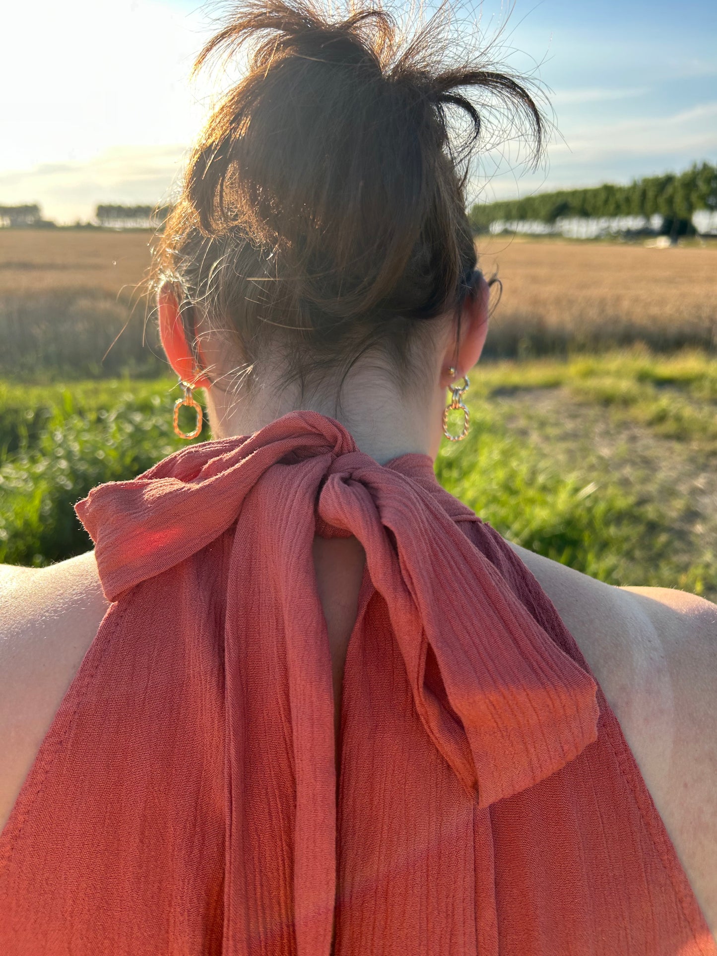 Halter setje roestbruin